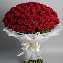 Букет 101 Красная роза Блэк Мэджик в Малые Вязёмы