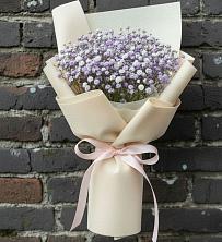 Букет цветов из:  Гипсофила в Малые Вязёмы