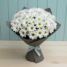 Букет цветов из:  Хризантемы в Малые Вязёмы