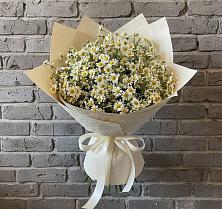 Букет цветов из:  Ромашки в Малые Вязёмы