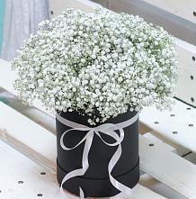 Цветочная композиция из Гипсофила в шляпной коробке #REPLACE_PRED# Малые Вязёмы