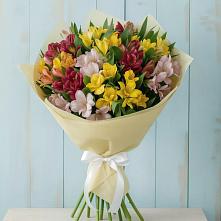 Букет цветов из:  Альстромерии #REPLACE_PRED# Малые Вязёмы