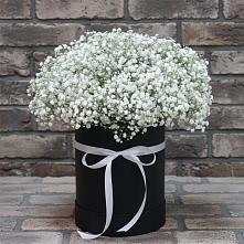Цветочная композиция из Гипсофила в шляпной коробке в Малые Вязёмы