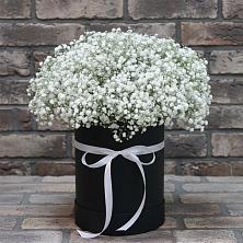 Цветочная композиция из Гипсофила в шляпной коробке в Малые Вязёмы