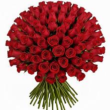 Букет Красные розы Чери Лав в Малые Вязёмы
