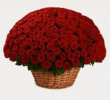 Премиум букет из: Розы в Малые Вязёмы