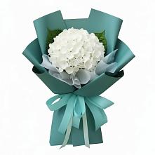 Букет цветов из:  Гортензия в Малые Вязёмы